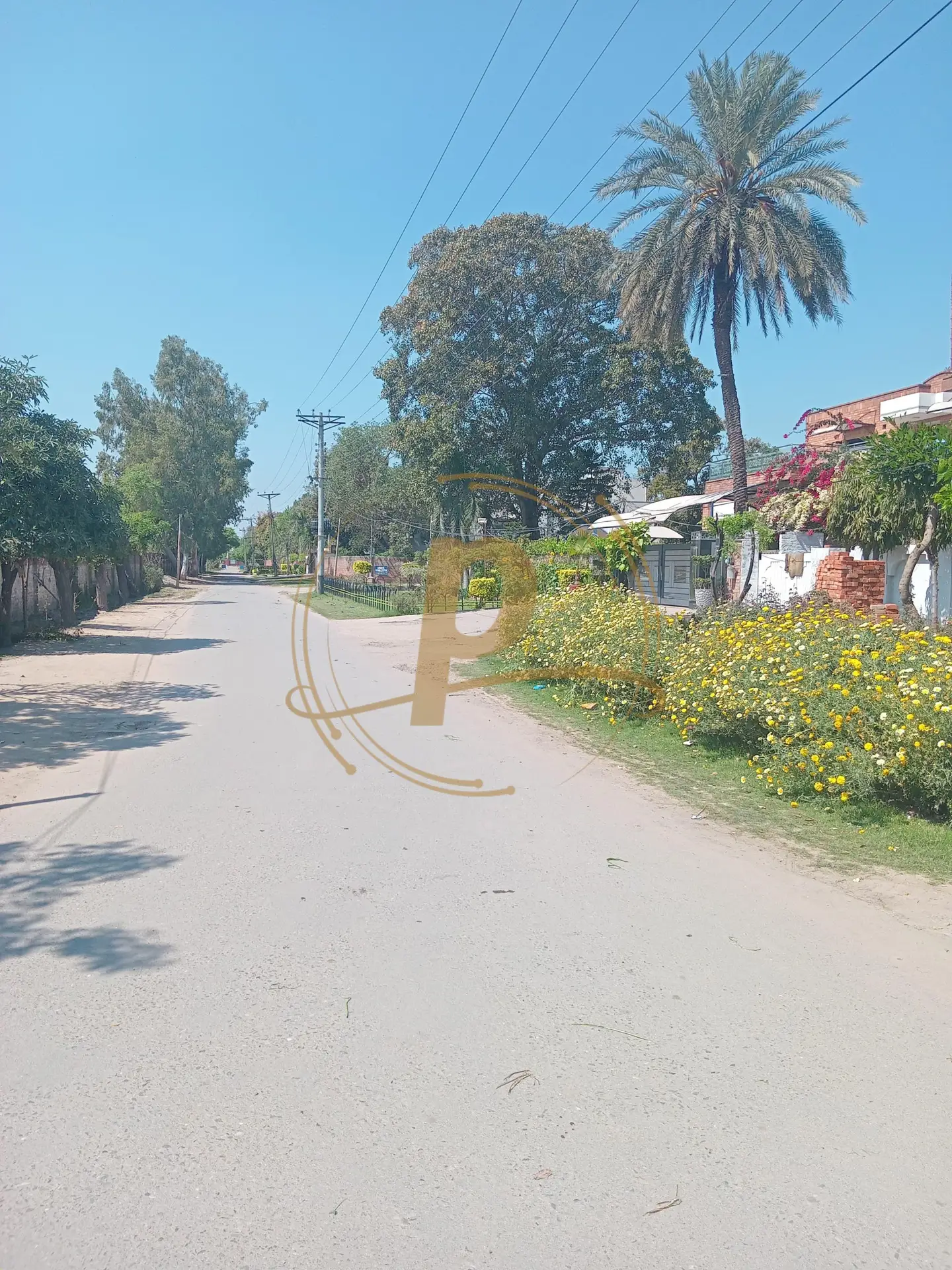 50 marla house sale for sale